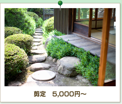 剪定 5,000円〜